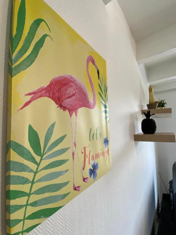 Les Cosy De Nancy - Le Duplex Aux Flammants Roses - 4Etoiles Apartment Exterior photo